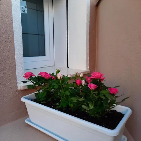 Dolia Center Dolianova